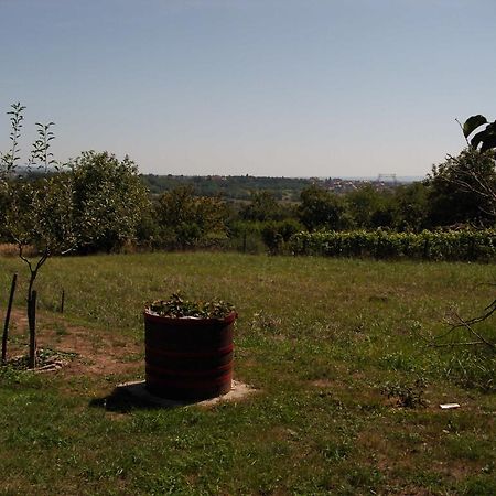 Ferienhaus Hartmann Heviz Bagian luar foto